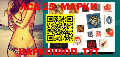 скорость Кандалакша