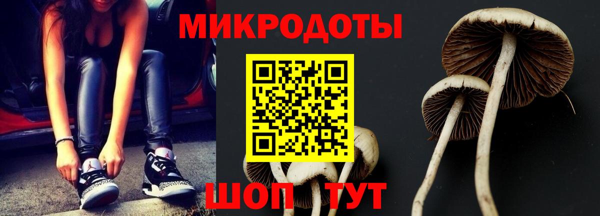 Псилоцибиновые грибы MAGIC MUSHROOMS Магадан