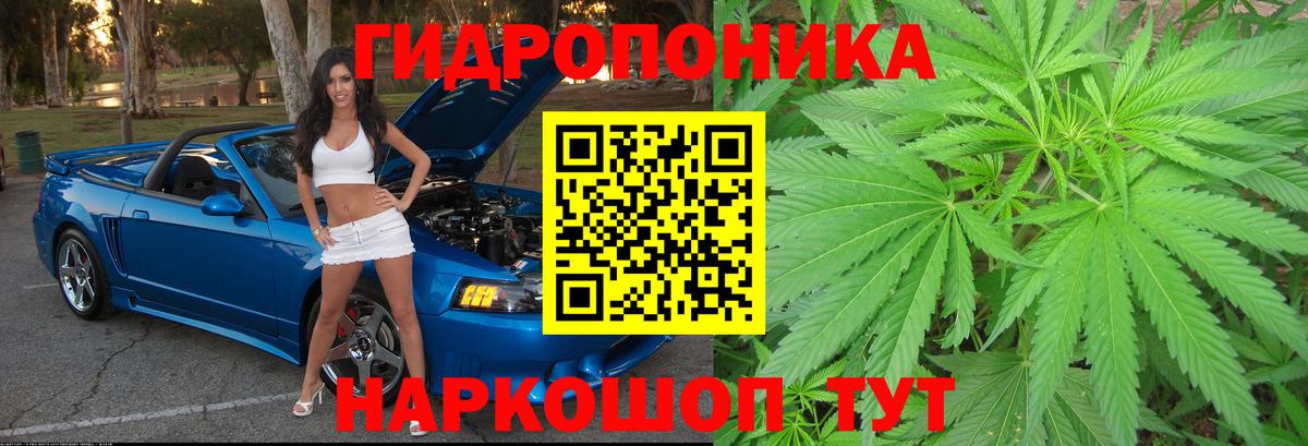 Канабис ГИДРОПОН  Марихуана гибрид  Конопля тримм  Магадан  Канабис MAZAR  Вход с VPN 